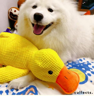 Calming Quack Duck™ – Interactive Dog Toy